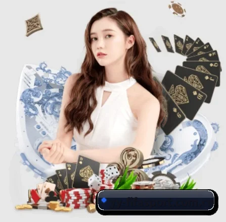 快速发展 - 市场覆盖范围大幅扩大,合作品牌阵容持续壮大,用户基数稳步增长。